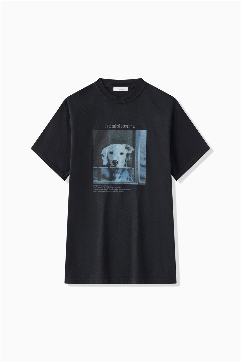 ワンちゃん用です DOG T-SHIRT