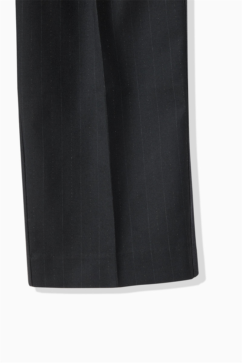 TR LAME STRIPE PANTS