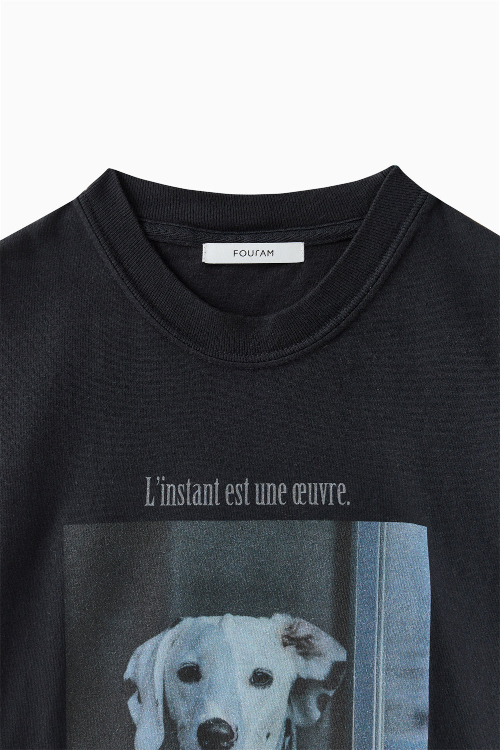DOG T-SHIRT