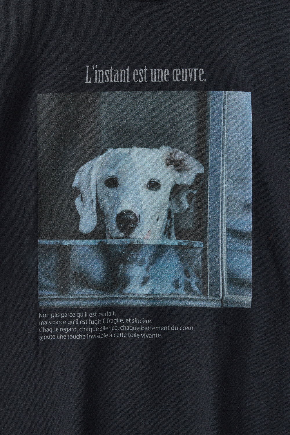 DOG T-SHIRT